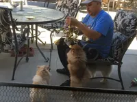 processed/f1c68e9a-aaa8-40bd-973b-8a41d221906a/facility/79817e03-f4d7-47ec-91d6-7a8c669fc066