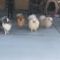 processed/f1c68e9a-aaa8-40bd-973b-8a41d221906a/facility/7ccae634-7bd1-4521-a4c6-596e74cec0e8