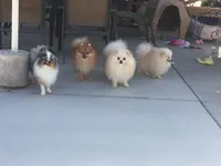 processed/f1c68e9a-aaa8-40bd-973b-8a41d221906a/facility/7ccae634-7bd1-4521-a4c6-596e74cec0e8