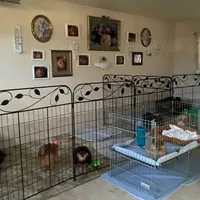 processed/f1c68e9a-aaa8-40bd-973b-8a41d221906a/facility/d4a61c4c-9333-43dc-a405-46f3bdc60b48