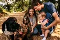 processed/f1dfbb73-be5e-489a-8213-0ccb2b10c4f8/facility/8d594f13-8d0f-4ce7-a14d-627ffa1dec8f