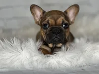 processed/f1dfbb73-be5e-489a-8213-0ccb2b10c4f8/facility/c668f4d7-fbb5-4c0a-baed-3122373e4169