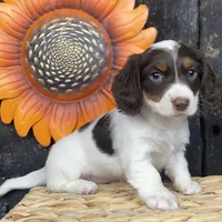 processed/f1dfbb73-be5e-489a-8213-0ccb2b10c4f8/facility/d32947a8-ba55-4e7f-b368-8a22c60d88d0