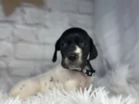 processed/f1dfbb73-be5e-489a-8213-0ccb2b10c4f8/listing/49bfc11b-ff8e-44d9-8a31-8849900c3c7e/5a1c31c0-8f72-4108-a065-4c1d95314771