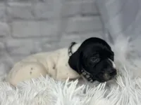 processed/f1dfbb73-be5e-489a-8213-0ccb2b10c4f8/listing/49bfc11b-ff8e-44d9-8a31-8849900c3c7e/a62d62a2-c5cb-41bd-972d-8e9d9d5d89dd