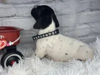 processed/f1dfbb73-be5e-489a-8213-0ccb2b10c4f8/listing/49bfc11b-ff8e-44d9-8a31-8849900c3c7e/cc7e853b-09bf-4dea-b2cc-9b96d580683b