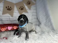 processed/f1dfbb73-be5e-489a-8213-0ccb2b10c4f8/listing/ef7c6a18-0ccd-4d7e-adce-93eb8bc46981/a48314da-196e-4eb6-822c-27afb5cea6e5