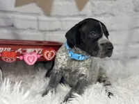 processed/f1dfbb73-be5e-489a-8213-0ccb2b10c4f8/listing/ef7c6a18-0ccd-4d7e-adce-93eb8bc46981/a754ee70-74a1-470b-ae3f-dc88c0363849