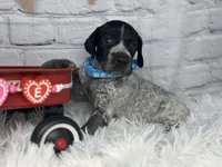 processed/f1dfbb73-be5e-489a-8213-0ccb2b10c4f8/listing/ef7c6a18-0ccd-4d7e-adce-93eb8bc46981/cd685412-27e6-4358-bf8f-b2b5162cc16d