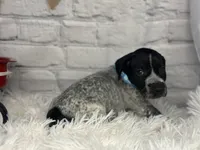 processed/f1dfbb73-be5e-489a-8213-0ccb2b10c4f8/listing/ef7c6a18-0ccd-4d7e-adce-93eb8bc46981/edb1803d-d9e3-474f-a2dc-f302e6d86e63