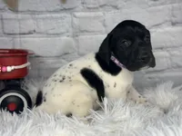 processed/f1dfbb73-be5e-489a-8213-0ccb2b10c4f8/listing/f13333b2-3d45-4c23-868c-139bcd554b57/112ea1f4-c32e-4ce9-80dc-dc2815184ad8