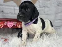 processed/f1dfbb73-be5e-489a-8213-0ccb2b10c4f8/listing/f13333b2-3d45-4c23-868c-139bcd554b57/8d513e8b-fcee-4160-a73d-9831baec9884