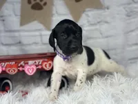 processed/f1dfbb73-be5e-489a-8213-0ccb2b10c4f8/listing/f13333b2-3d45-4c23-868c-139bcd554b57/914a2d4c-ed44-4a4a-a4c2-4908195c9db0