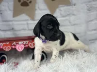 processed/f1dfbb73-be5e-489a-8213-0ccb2b10c4f8/listing/f13333b2-3d45-4c23-868c-139bcd554b57/d4bff392-7d20-47a8-9cb5-3a37e5570f07