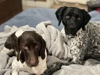 processed/f1f19e6e-1d00-40d3-b983-569812aa4c91/facility/1a5f6cd3-a514-4ef5-b7ca-5bca132c53f7