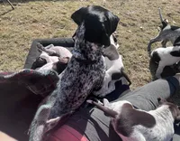 processed/f1f19e6e-1d00-40d3-b983-569812aa4c91/facility/50f96fa7-9d64-4e29-9079-3802d59ca33c