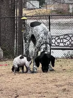 processed/f1f19e6e-1d00-40d3-b983-569812aa4c91/facility/539cfdb2-1b5b-4b25-8b39-d185618064f3