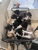 processed/f1f19e6e-1d00-40d3-b983-569812aa4c91/facility/93565e2a-1318-48d9-b6e0-3fc72c56b010