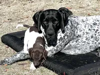 processed/f1f19e6e-1d00-40d3-b983-569812aa4c91/facility/cff29802-6757-43ca-af79-e5e4739345a9