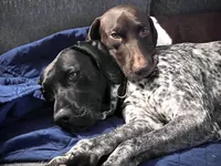 processed/f1f19e6e-1d00-40d3-b983-569812aa4c91/facility/ddea2508-0efe-4b7d-abb2-51c4be24f0a0