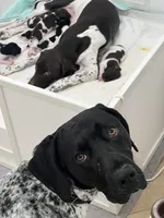 processed/f1f19e6e-1d00-40d3-b983-569812aa4c91/facility/de31d92c-68da-4218-9258-50743eb6251f