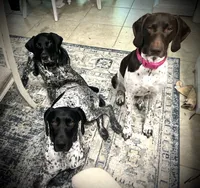 processed/f1f19e6e-1d00-40d3-b983-569812aa4c91/facility/deb1c21d-020d-4efb-a303-fefa3cb1f94c