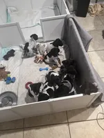 processed/f1f19e6e-1d00-40d3-b983-569812aa4c91/facility/f4a1ceef-8c4e-41ae-81db-7e898fd8720d