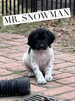 processed/f1f19e6e-1d00-40d3-b983-569812aa4c91/listing/552fe3df-e981-4a2e-88dc-5a2d2411367e/0c69235a-5037-4acd-a4f3-05e05248c9de