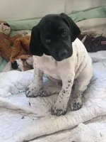 processed/f1f19e6e-1d00-40d3-b983-569812aa4c91/listing/552fe3df-e981-4a2e-88dc-5a2d2411367e/280e3ec5-963d-4227-803a-f0116796fbeb