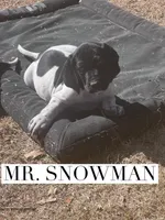 processed/f1f19e6e-1d00-40d3-b983-569812aa4c91/listing/552fe3df-e981-4a2e-88dc-5a2d2411367e/40e494f8-9cbf-4104-af3a-ff48e256a0d8