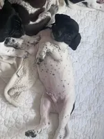 processed/f1f19e6e-1d00-40d3-b983-569812aa4c91/listing/552fe3df-e981-4a2e-88dc-5a2d2411367e/61f2f125-db29-435a-aeb6-f601a54294e7