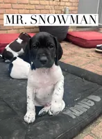 processed/f1f19e6e-1d00-40d3-b983-569812aa4c91/listing/552fe3df-e981-4a2e-88dc-5a2d2411367e/aacd6e77-e8fd-45a7-b051-09bd647659f5