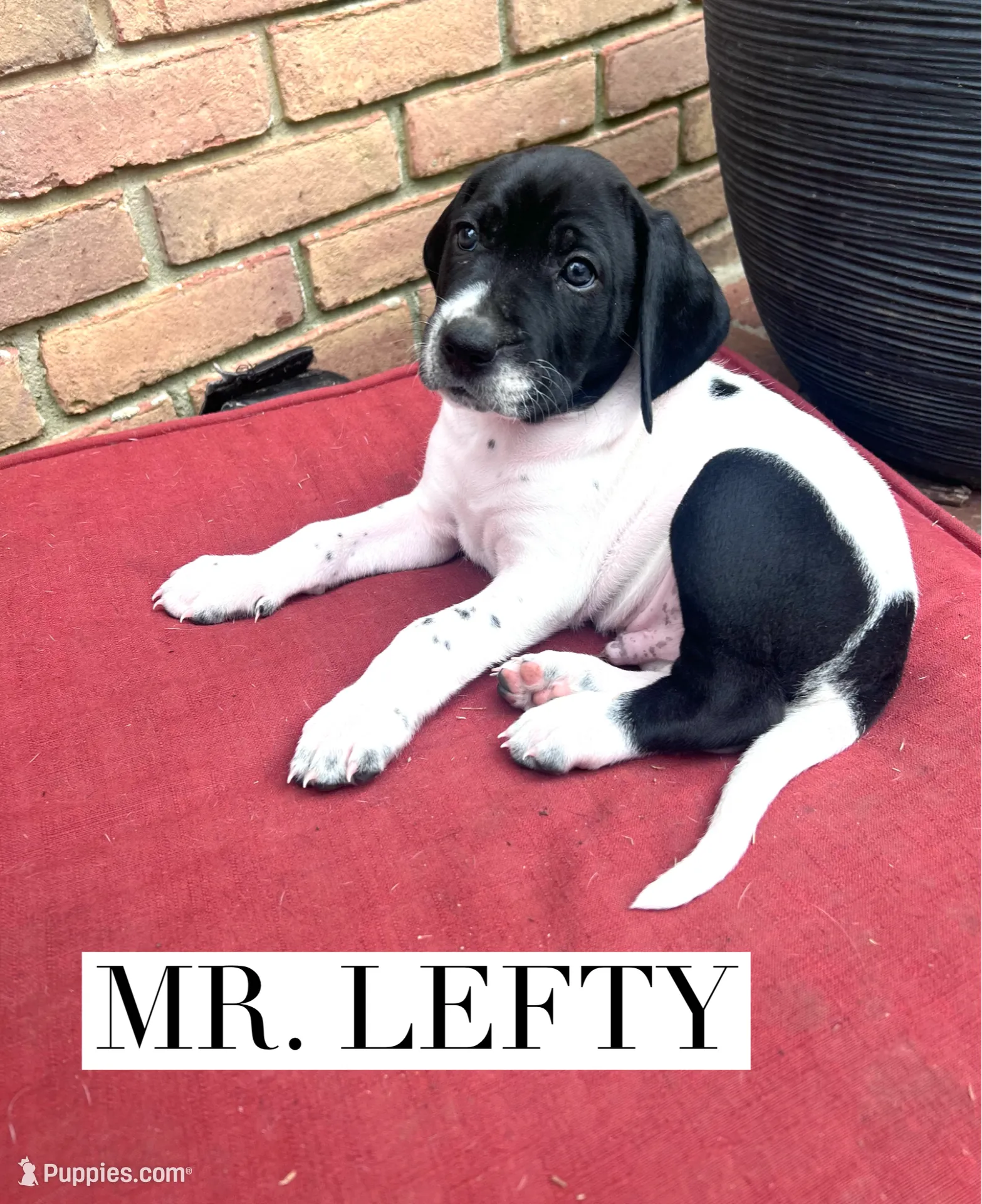 processed/f1f19e6e-1d00-40d3-b983-569812aa4c91/listing/7a8c8edb-3e87-4631-8b19-73594fdb05b1/8d8ade10-beac-4c88-8b6b-7841464c7b0e