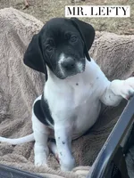 processed/f1f19e6e-1d00-40d3-b983-569812aa4c91/listing/7a8c8edb-3e87-4631-8b19-73594fdb05b1/aa0b4ea1-0be8-4184-9535-1096b77c0acb