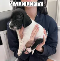 processed/f1f19e6e-1d00-40d3-b983-569812aa4c91/listing/7a8c8edb-3e87-4631-8b19-73594fdb05b1/cda94201-7a97-4086-a69e-6d7914d1b977