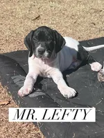 processed/f1f19e6e-1d00-40d3-b983-569812aa4c91/listing/7a8c8edb-3e87-4631-8b19-73594fdb05b1/d95245ec-212a-465c-84be-5a8ba75a51cd