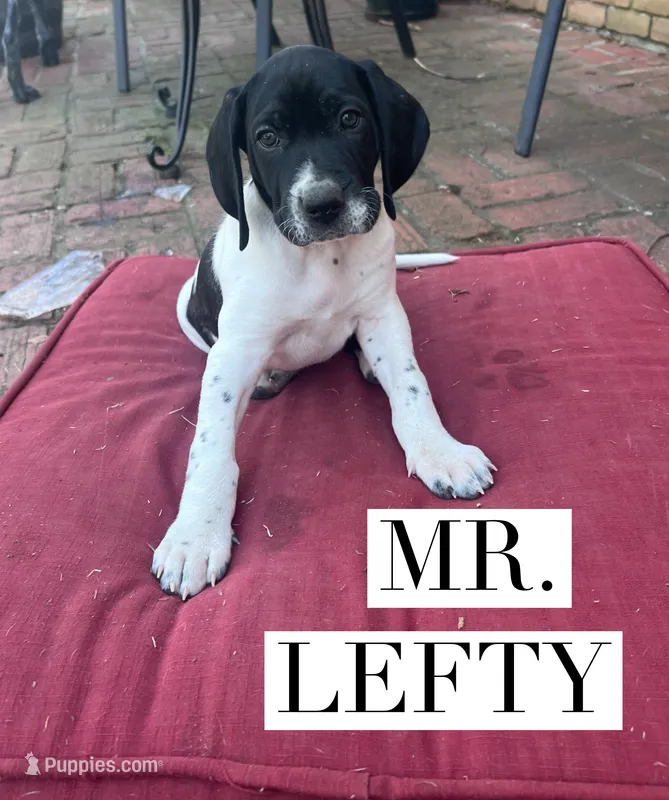 Lefty
