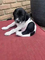 processed/f1f19e6e-1d00-40d3-b983-569812aa4c91/listing/7a8c8edb-3e87-4631-8b19-73594fdb05b1/f3bffe3f-0a65-4feb-9330-5389f84f435d