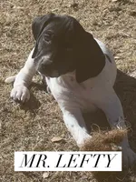 processed/f1f19e6e-1d00-40d3-b983-569812aa4c91/listing/7a8c8edb-3e87-4631-8b19-73594fdb05b1/f6448d89-3bfc-4163-8cdb-40836369f699