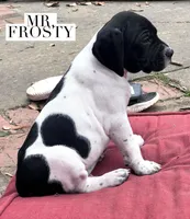 processed/f1f19e6e-1d00-40d3-b983-569812aa4c91/listing/7d74b48f-3595-4710-94c9-391feb4baafe/0bcba0e3-916b-4a18-8ad6-350db3aff0c9