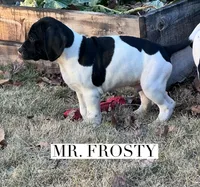 processed/f1f19e6e-1d00-40d3-b983-569812aa4c91/listing/7d74b48f-3595-4710-94c9-391feb4baafe/23eb53ad-3de6-4b1a-8834-3d568fb89331