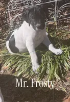 processed/f1f19e6e-1d00-40d3-b983-569812aa4c91/listing/7d74b48f-3595-4710-94c9-391feb4baafe/80cf09b5-f2d7-473c-b309-9ca783c298a5