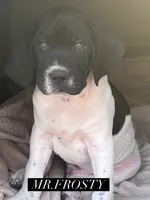 processed/f1f19e6e-1d00-40d3-b983-569812aa4c91/listing/7d74b48f-3595-4710-94c9-391feb4baafe/8a343891-e31a-46e8-9217-09340c2e96d4