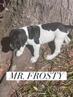 processed/f1f19e6e-1d00-40d3-b983-569812aa4c91/listing/7d74b48f-3595-4710-94c9-391feb4baafe/8fd4d6a8-42b2-4fd3-adfd-f2badb84aee1