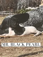 processed/f1f19e6e-1d00-40d3-b983-569812aa4c91/listing/80ccc49a-2caf-4f2d-9dcd-74dc2ff294be/12fc7d70-ef3f-4f93-9456-635a8b23078a