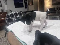 processed/f1f19e6e-1d00-40d3-b983-569812aa4c91/listing/80ccc49a-2caf-4f2d-9dcd-74dc2ff294be/1b2fb689-01d3-4e34-8982-e818ea70f24c