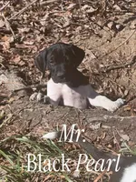 processed/f1f19e6e-1d00-40d3-b983-569812aa4c91/listing/80ccc49a-2caf-4f2d-9dcd-74dc2ff294be/1edd2b68-88da-43b7-993e-f18619e24b9f