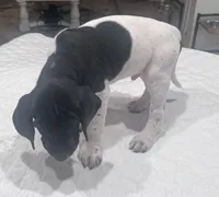 processed/f1f19e6e-1d00-40d3-b983-569812aa4c91/listing/80ccc49a-2caf-4f2d-9dcd-74dc2ff294be/63f3d5b8-5fea-4af2-975d-776997b1ce7c