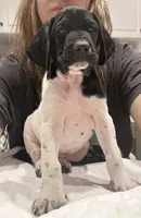 processed/f1f19e6e-1d00-40d3-b983-569812aa4c91/listing/80ccc49a-2caf-4f2d-9dcd-74dc2ff294be/8ba53df4-b4e2-4a0c-9e42-e93522ff099a