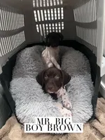 processed/f1f19e6e-1d00-40d3-b983-569812aa4c91/listing/d68c68f9-bd76-4a68-b10e-f597ed79a88a/02f6b0b7-9b55-4b6f-b385-ce7c5a02b36e